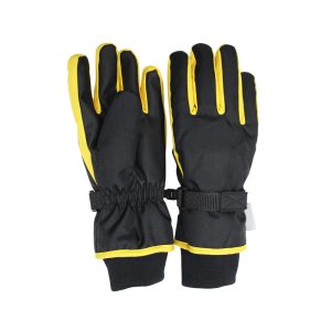 Ski & Winter Gloves
