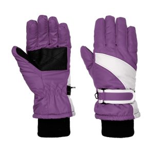 Ski & Winter Gloves
