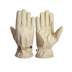 Dressing Gloves