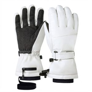 Ski & Winter Gloves