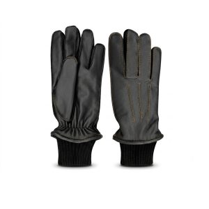 Dressing Gloves
