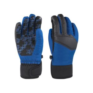 Ski & Winter Gloves