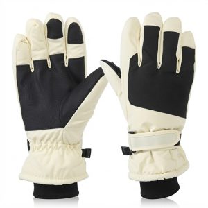 Ski & Winter Gloves
