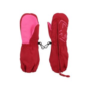 Ski & Winter Gloves