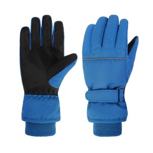 Ski & Winter Gloves