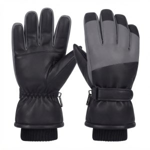 Ski & Winter Gloves